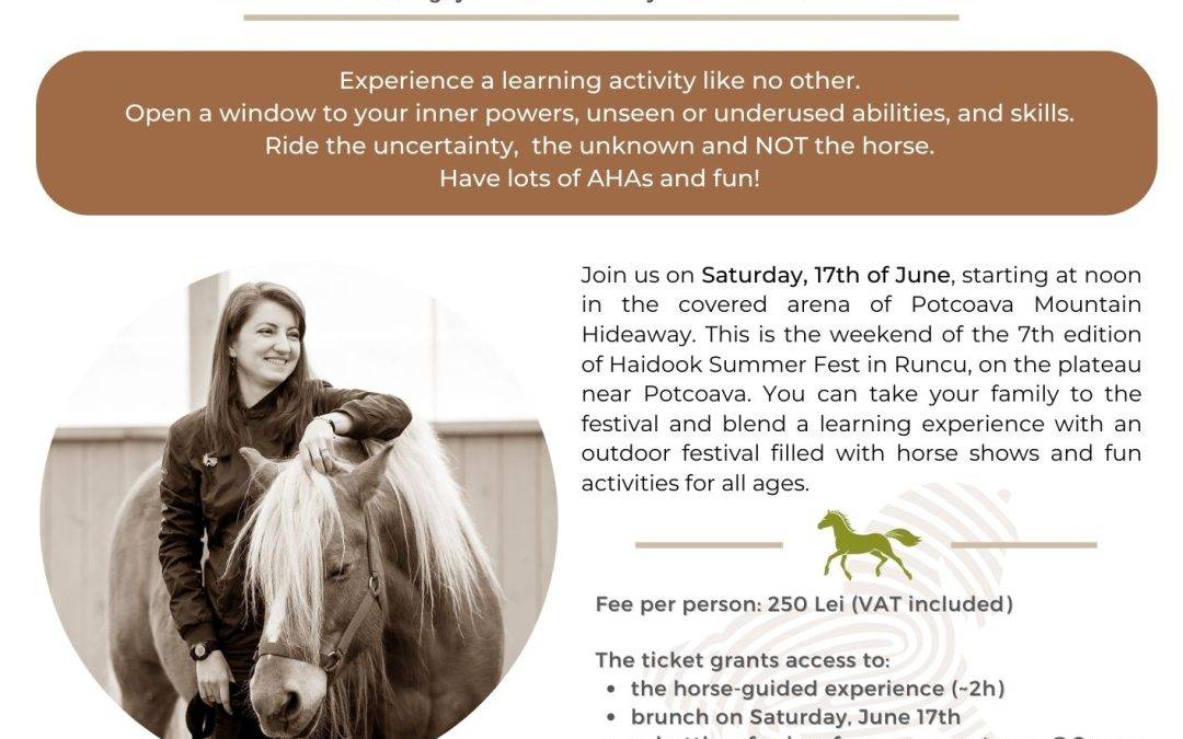 Horse-guided leadership development over brunch