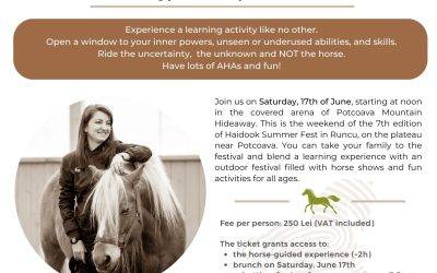 Horse-guided leadership development over brunch