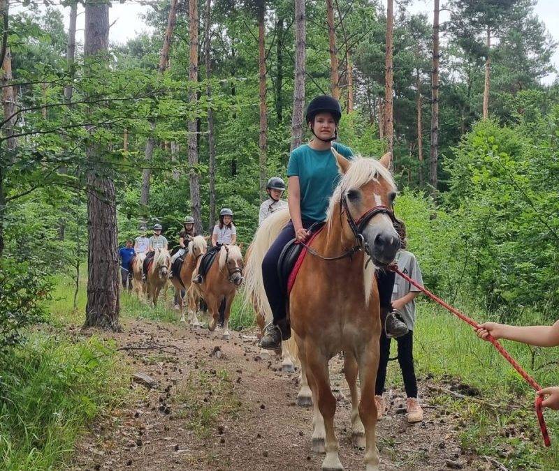 Potcoava - destinatie de vacanta ecoturistica, tabara copii 9-18 ani