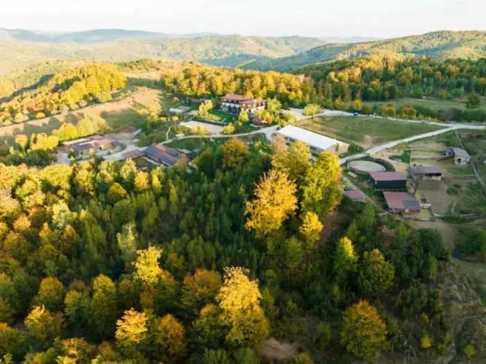 10 ani de Potcoava Mountain Hideaway: O poveste scrisă împreună